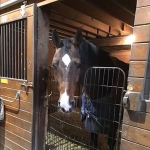 Meet your Posher, Carina